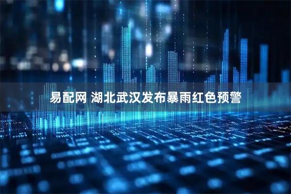 易配网 湖北武汉发布暴雨红色预警