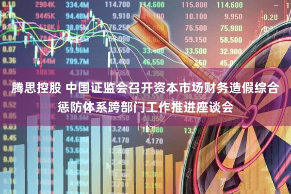 腾思控股 中国证监会召开资本市场财务造假综合惩防体系跨部门工作推进座谈会
