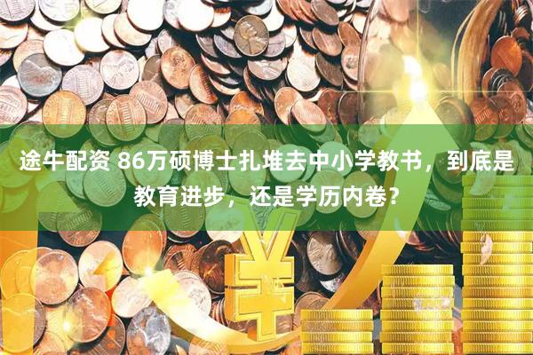 途牛配资 86万硕博士扎堆去中小学教书，到底是教育进步，还是学历内卷？